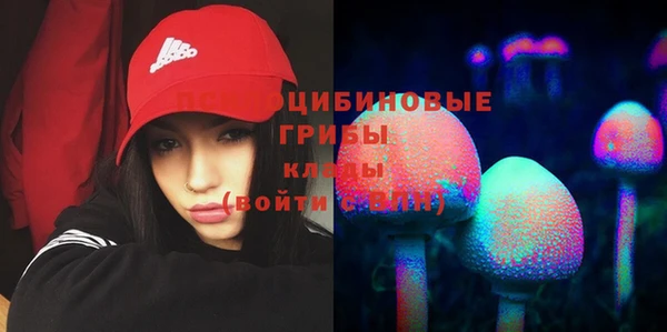 круглые Арсеньев