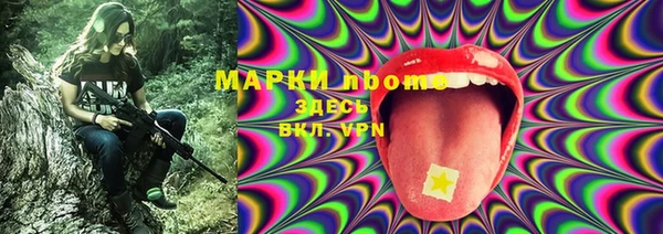 шишки Приозерск