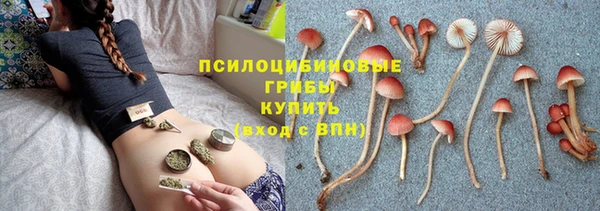 бошки Аркадак