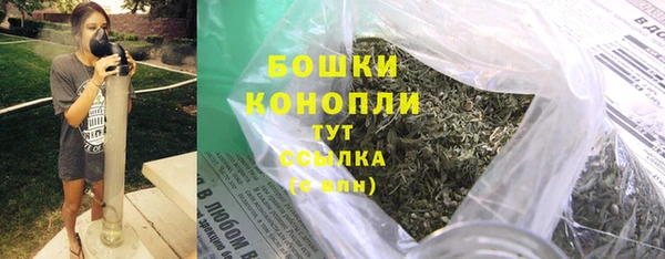 дурь Покачи