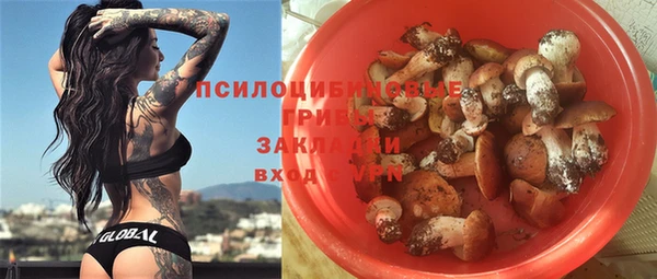 прущая мука Алзамай