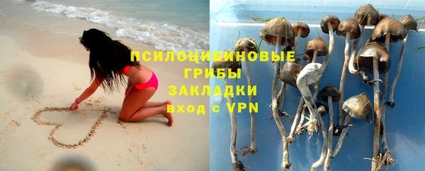 мдпв Армянск
