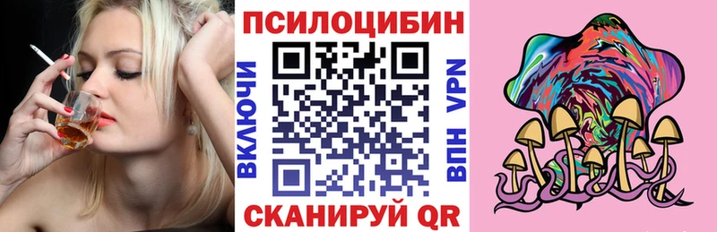 blacksprut зеркало Нарткала Псилоцибиновые грибы мухоморы как найти закладки